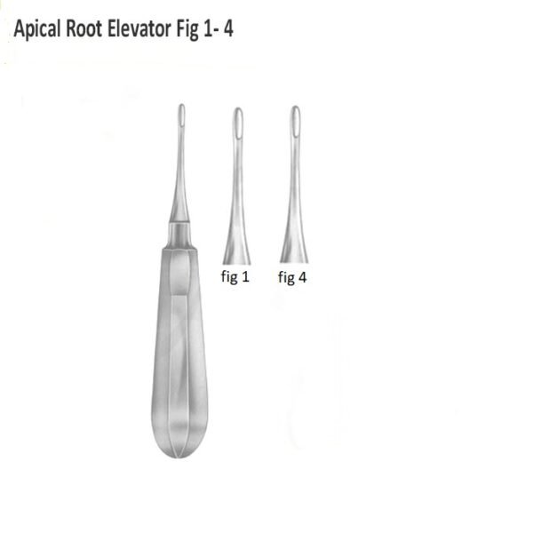 Root Elevators Apical Fig 1, 4,