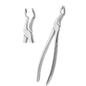 Extracting Forceps Fig. 19 Upper Third Molars – Premium Dental